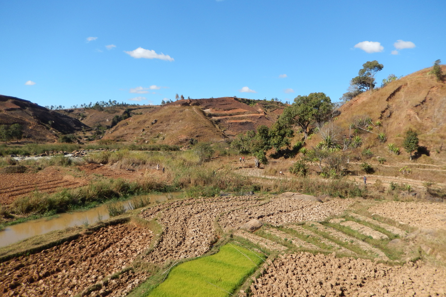 Impianti Madagascar